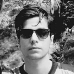 mohammadali alikhani