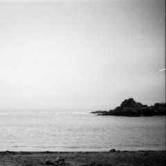 Naomi Galdames Castro