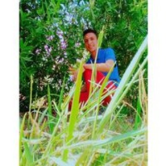 Mohamed Elbana