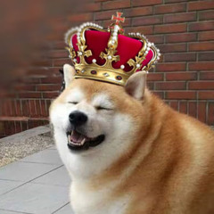 Doge gamer775