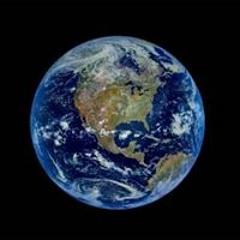 Kim​ the​ simson