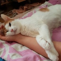 후호