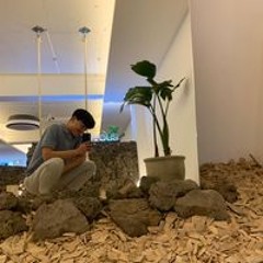최준석