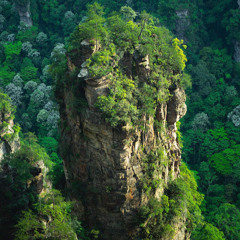 video ابراهيم ارحمني