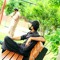 Fayaz