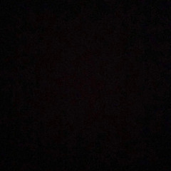 User 311316610