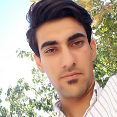 Amin Rouhsaz