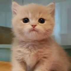 jeonmy