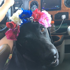 Marleigh Cummins