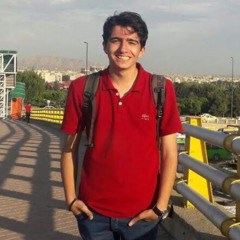 Hamed Mirzaei