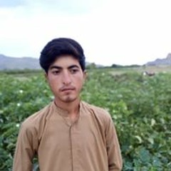 Sherzaman Bajoi