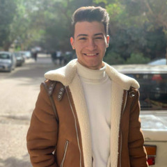 Youssef Mahmoud