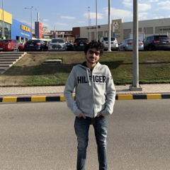 Youssef Sherif 17