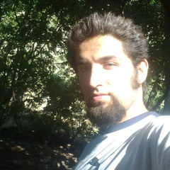 Arash Amini