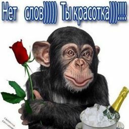 анжела лондон
