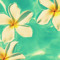 User 160931234