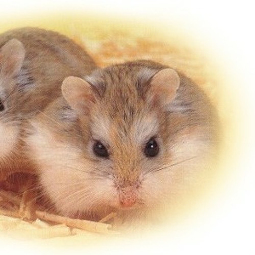 이브의 경고 -- 박미경