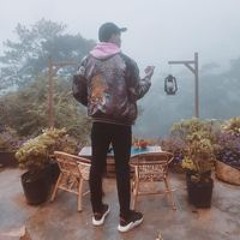 Kim Hoàng