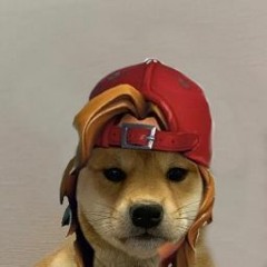 Xenwtf
