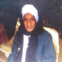 وليد أحمد
