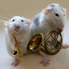 Rat Band Music