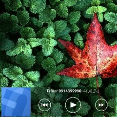 Sanfor Ali2