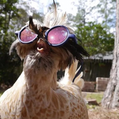 Андрей Зенькин