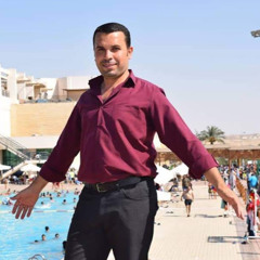 tarek hamza