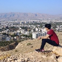 erfan nabavizadeh