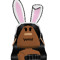 bunny Amber