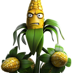 kernel korn