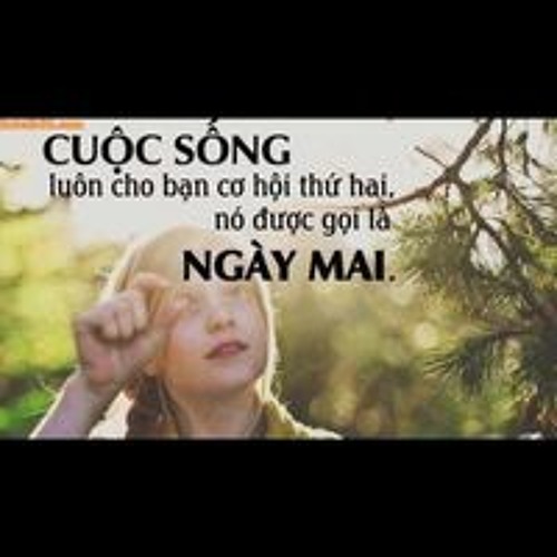 Nguyễn Thái’s avatar