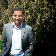 Al-Haythm Al-Essawy