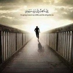 mohamed eef