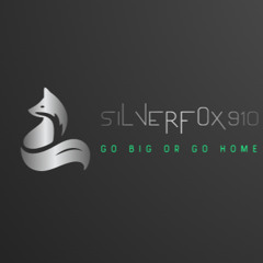 SILVERfox910