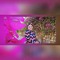 Rokia Atef