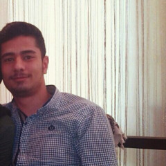 Mohamad Alizade