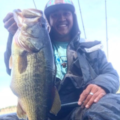 Beantown Bassin