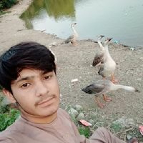 Saad Rashid’s avatar