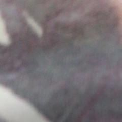 Tertulien vibe Rap kreol