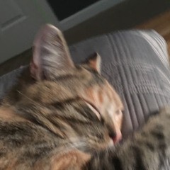 Darling, I could make you cry