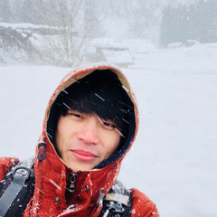 Van Tam Pham