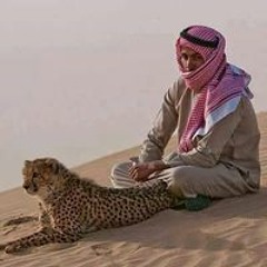 رحال