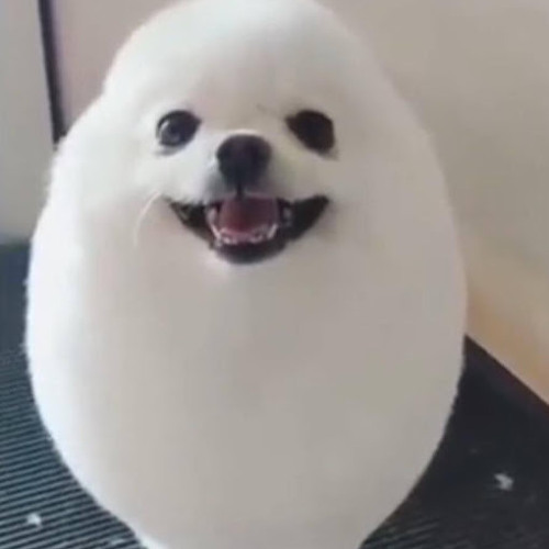 Hehe papież tańczy (caramelldansen)