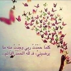 محمد عز