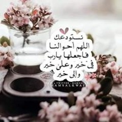 Marwa Elsayed Abo Yosef