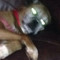 User 2920355