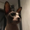 User 764167605