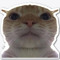 SymmetricalCat