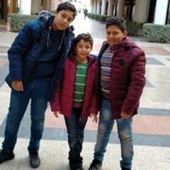 User 19406404